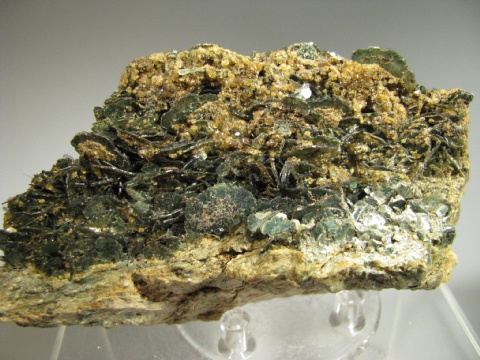 Melanite - Rocca Castellaccio, Malenco valley,  Italy