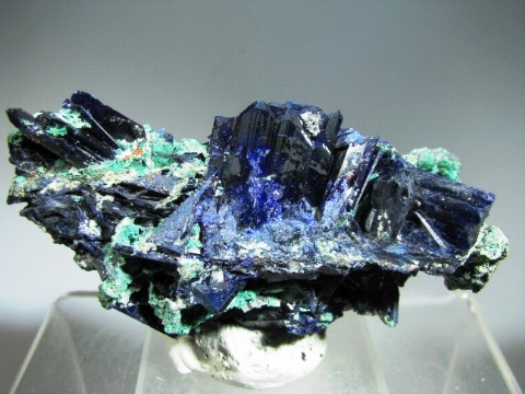 Azurite  - Toussit Mine, Morocco