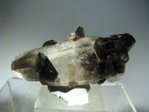 Smoky Quartz  -  Minas Gerais, Brazil