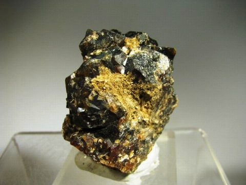 Andradite  -  Kara Mines, Hampshire district, Tasmania, Australia