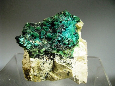 Crisocolla, Malachite - Punta Calamite, Elba Island,  Italy