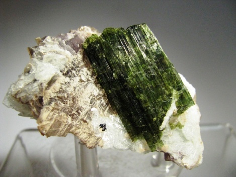 Tourmaline  -  Minas Gerais, Brazil