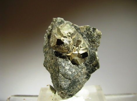 Pyrite - Schio-Valdagno tunnel, Vicenza, Veneto, Italy