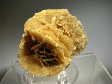 Gypsum (Sand Rose) - Algeria