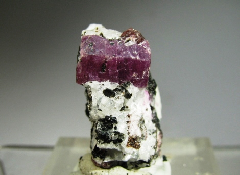 Ruby -  Subramanya, Dakshina Kannada; South Canara, India