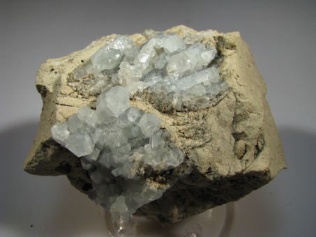 Celestine - Meckley's Quarry, Mandata, PA, USA