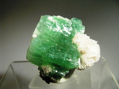 Green Apophyllite -  Poona, India